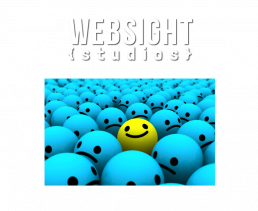 Websight Studios logo. An open laptop with a yellow smiley face amongst a crowd of blue unhappy faces.