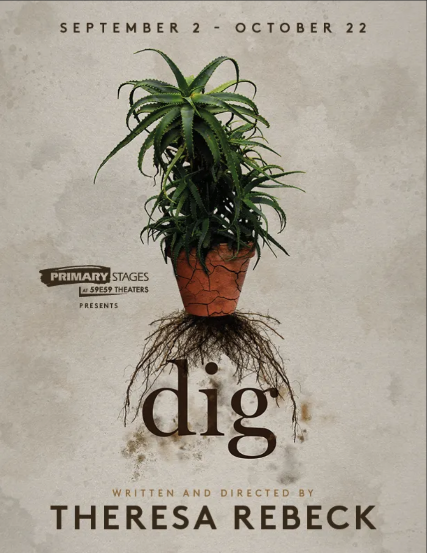 DIG